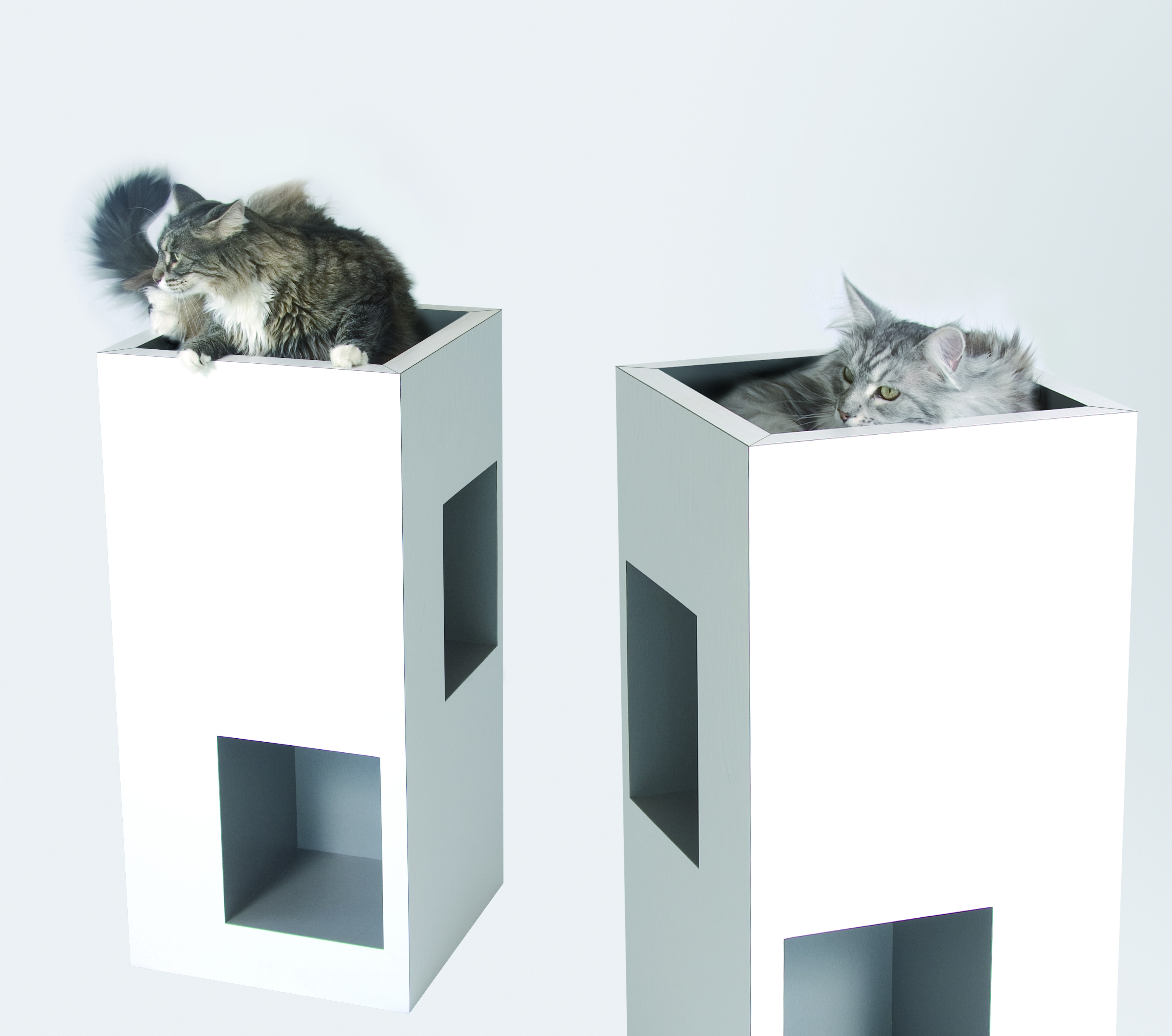 arbre a chat design carton